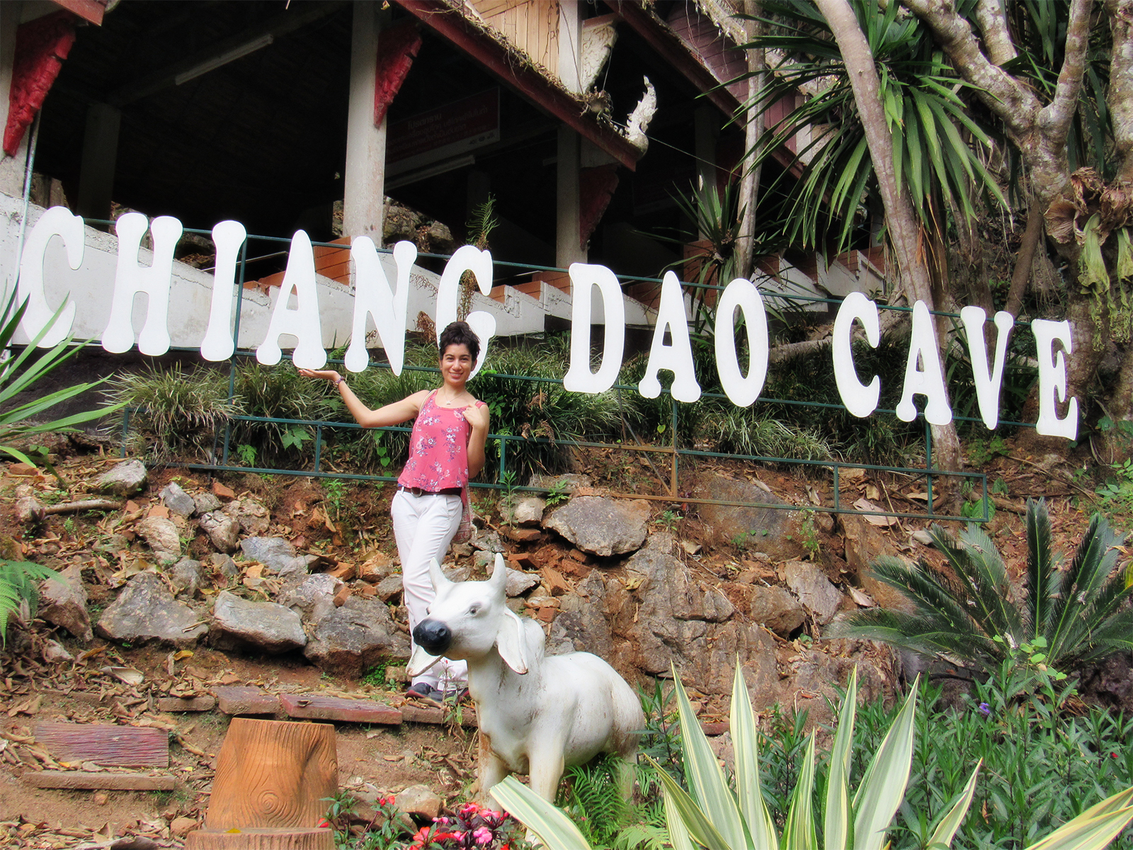 exploring Chiang Dao cave